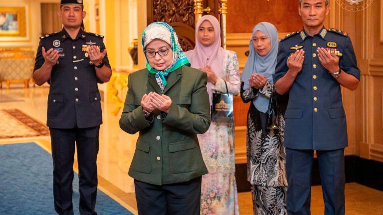 Credit - Sultan Ibrahim Sultan Iskandar/FBPIX